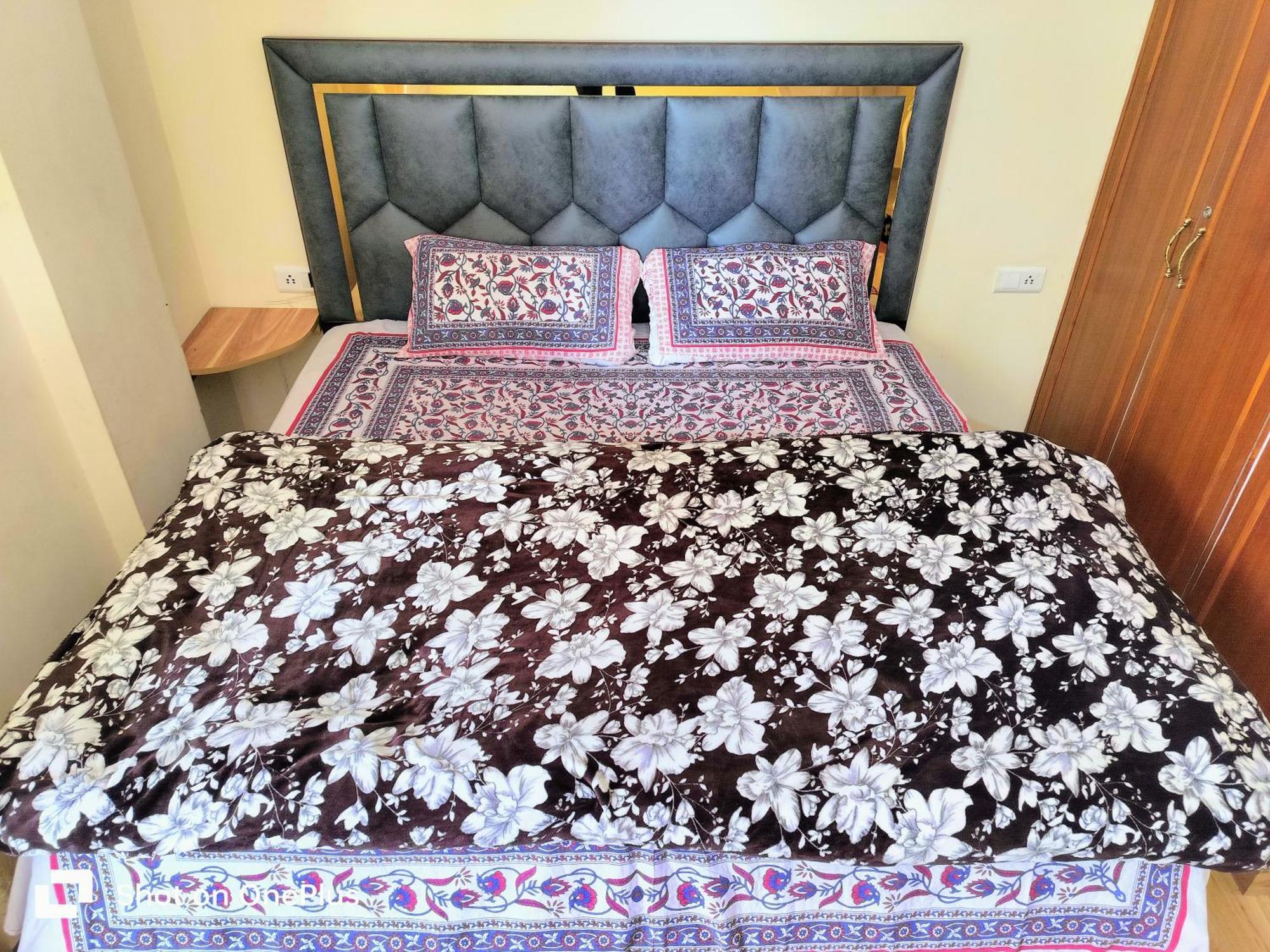 Shimla Vibes B & B Free Pick And Drop From Isbt شيملا المظهر الخارجي الصورة